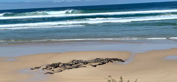 Camping on Fraser Island